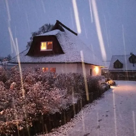 Thatched House زيمبين